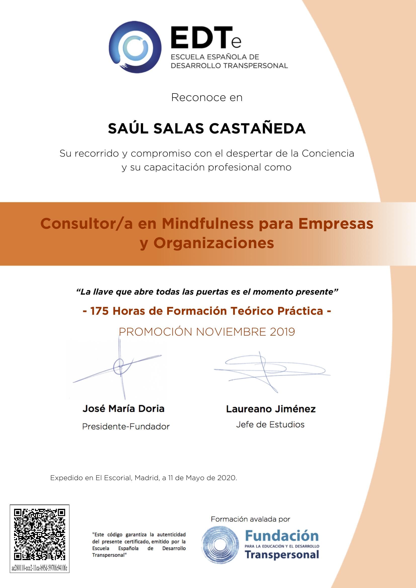 Consultor en Mindfulness para Empresas y Organizaciones